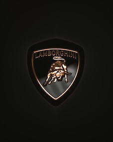 Lamborgini logo